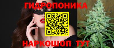 прущие крисы Гусиноозёрск