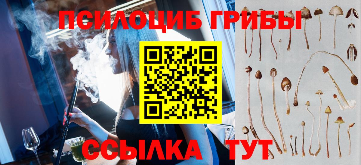 Галлюциногенные грибы прущие грибы  Вход с VPN  Тихорецк 